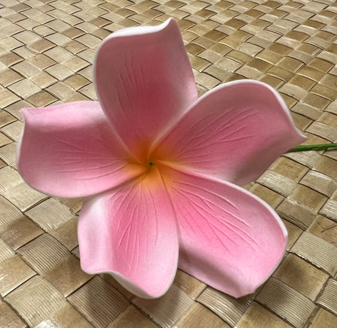 2.5" Cup Bloom Plumeria with Stem - All Pink- Medium