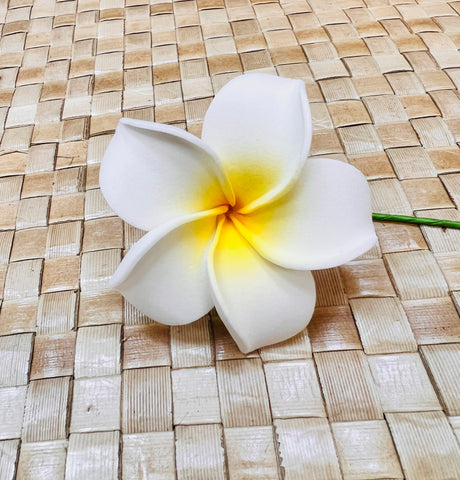 2.5" Small Full Bloom Plumeria - Yellow White